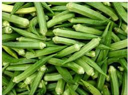 OKRA INDIAN(LB)